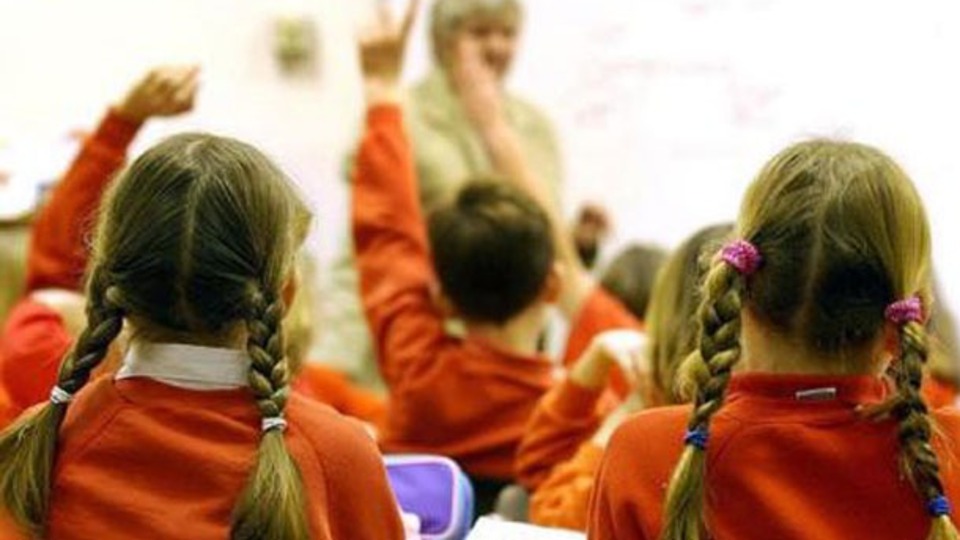 Bit nasıl bulaşır?