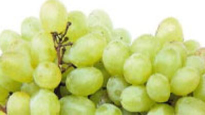 Bir salkım üzüm iyi gelir