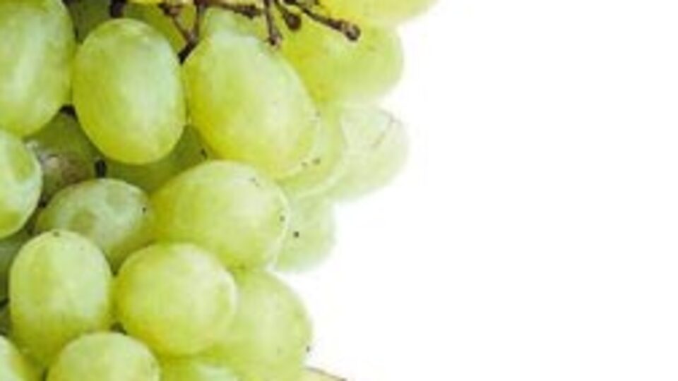 Bir salkım üzüm iyi gelir