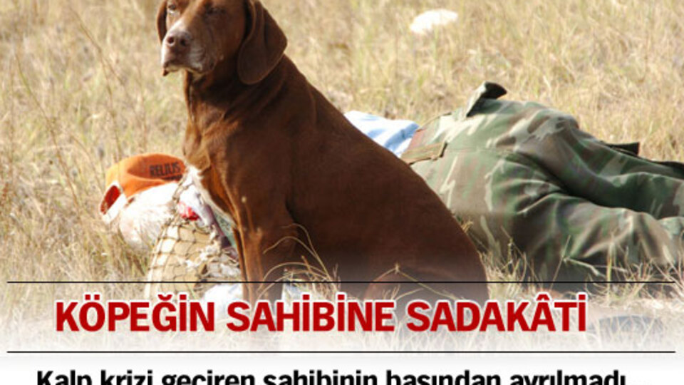 Köpeğin sahibine sadakati