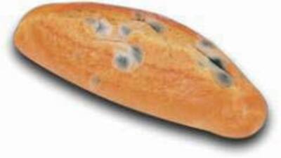 Bayat ekmek kanser ediyor!