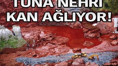 Tuna Nehri kan ağlıyor!