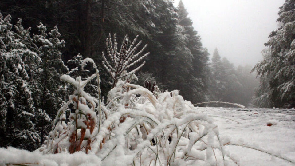 Marmara'ya ilk kar düştü! GALERİ
