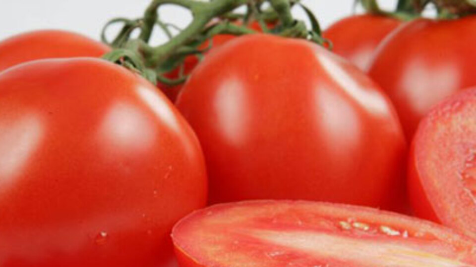 Domateste ilaç kalıntısı tehlikesi