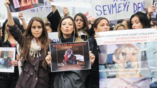 Hayvanlar için yürüdüler