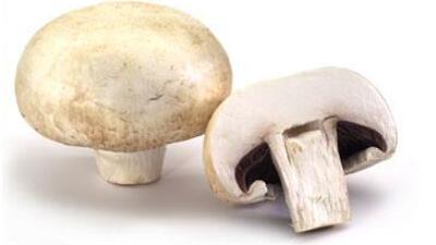 Hangi mantar yenir hangisi yenmez?