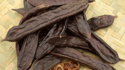 Sigara içenlere en iyi tavsiye