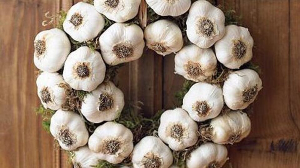 Sarımsakla ilgili şok bilgi!
