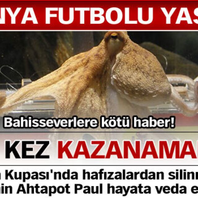 Bu kez kazanamadı!