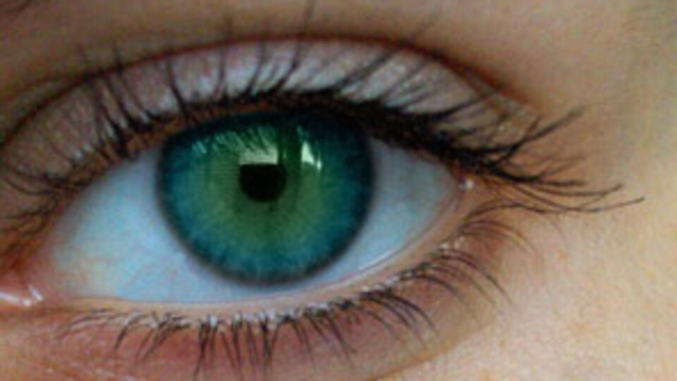 Haberin fotoğrafına iyi bakın