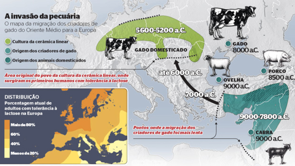 "Kölner Express" gazetesi: "Hepimiz biraz Türküz"