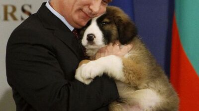 Putin'in köpeği tartışma konusu oldu - GALERİ
