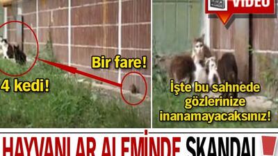 Gözlerinize inanamayacaksınız! VİDEO