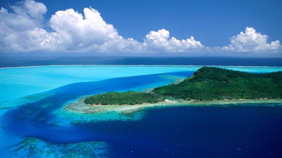 Kanserin çaresi okyanusta mı?