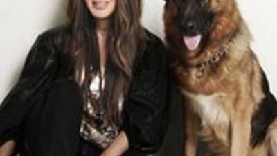 Köpeği için 'villa' yaptırıyor