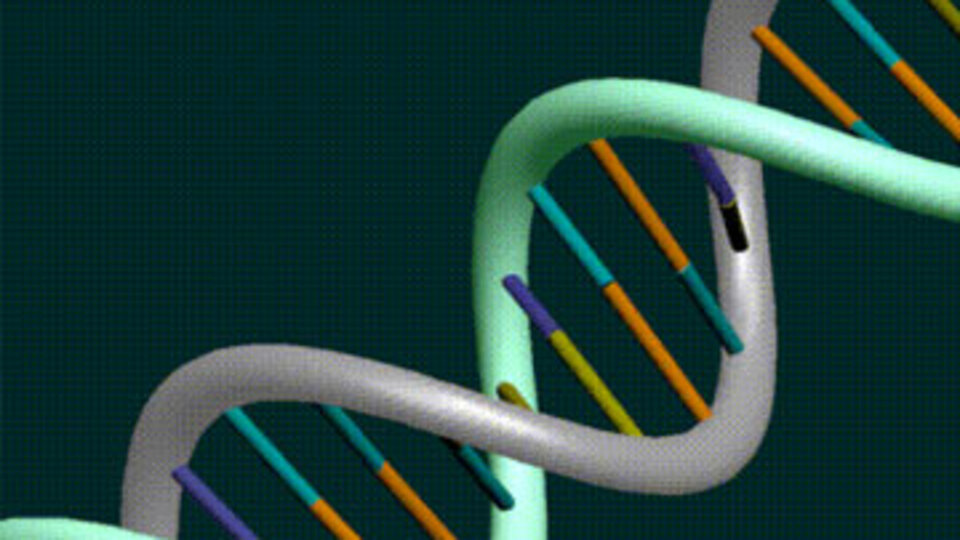 Dumanı bile DNA'ya zarar veriyor!