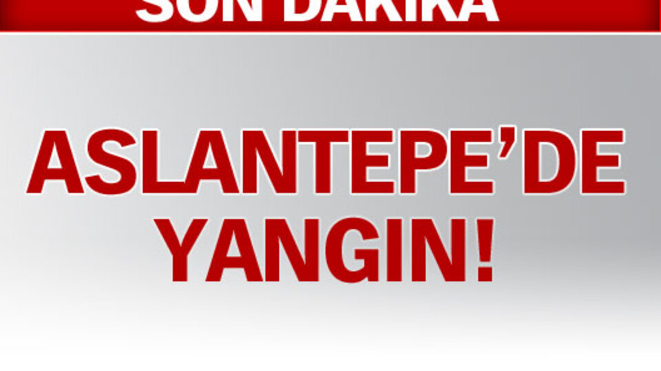 Aslantepe'de korkutan yangın!