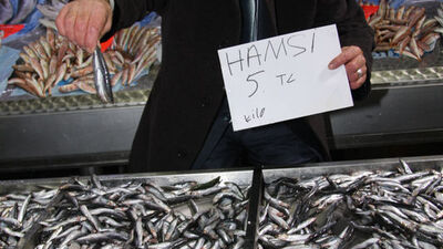 Hamsiyi çiğ çiğ yedi! VİDEO