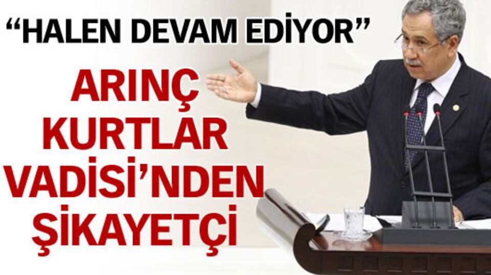 Arınç, Kurtlar Vadisi'nden şikayetçi