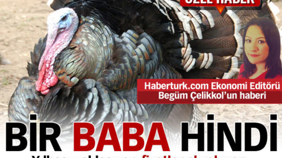 Bir baba hindi!