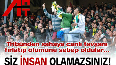 Siz insan olamazsınız!