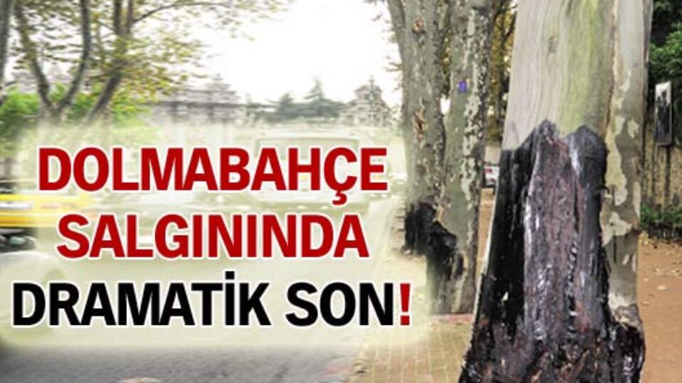 Dolmabahçe salgınında dramatik son!