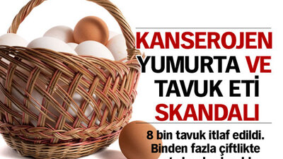 Kanserojen yumurta ve tavuk skandalı