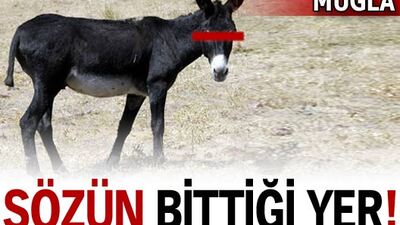 Sözün bittiği yer!