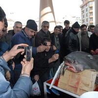 Konyalılar şifayı 'jaws'da aradı