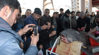 Konyalılar şifayı 'jaws'da aradı