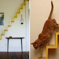 Kedilere özel mobilyalar