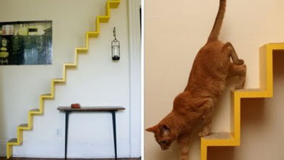 Kedilere özel mobilyalar