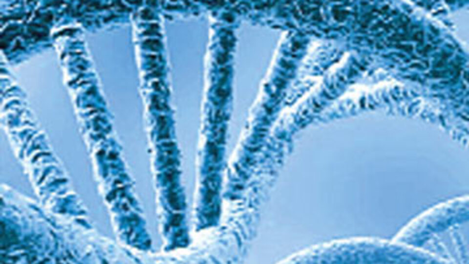 Doğmamış çocuğa genetik test