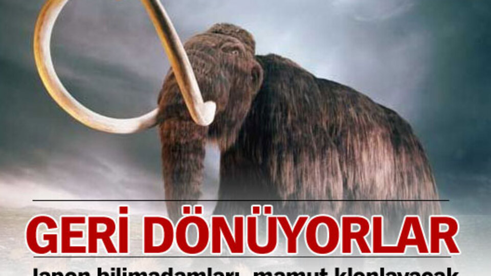 Mamutlar geri dönüyor