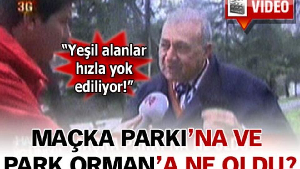 "Yeşil alanlar hızla yok ediliyor!"