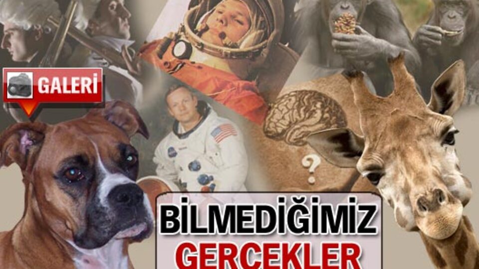 Bilmediğimiz gerçekler
