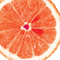 Greyfurt tansiyonu dengeliyor