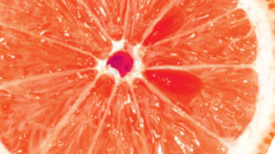 Greyfurt tansiyonu dengeliyor