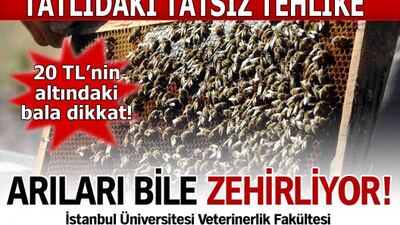 Fruktoz arıları bile zehirliyor!