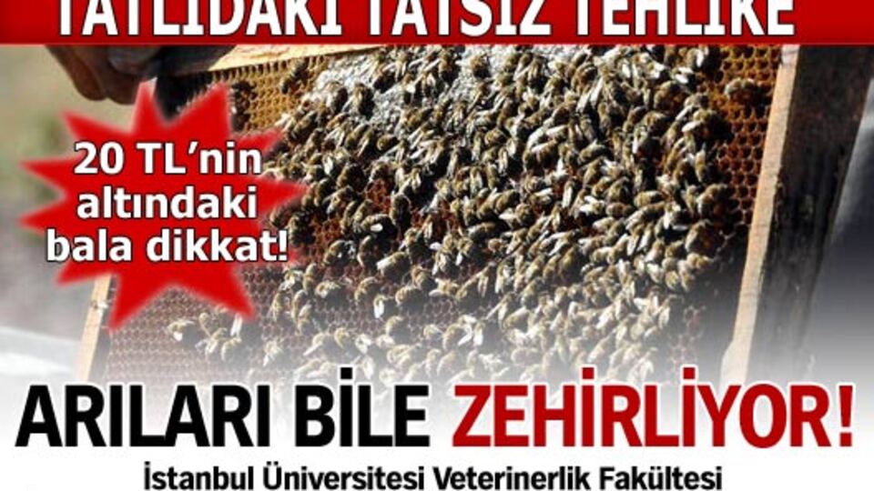 Fruktoz arıları bile zehirliyor!