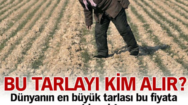 Dünyanın en büyük tarlası!