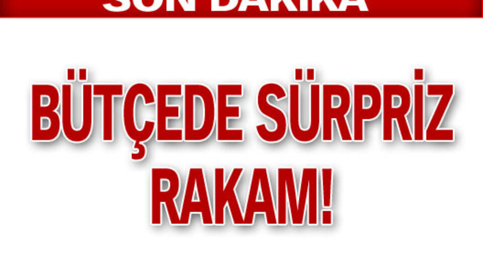 Bütçe rakamları geldi!
