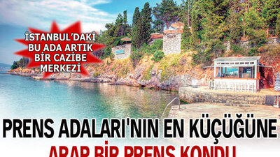 Prens Adası'na Arap prens kondu