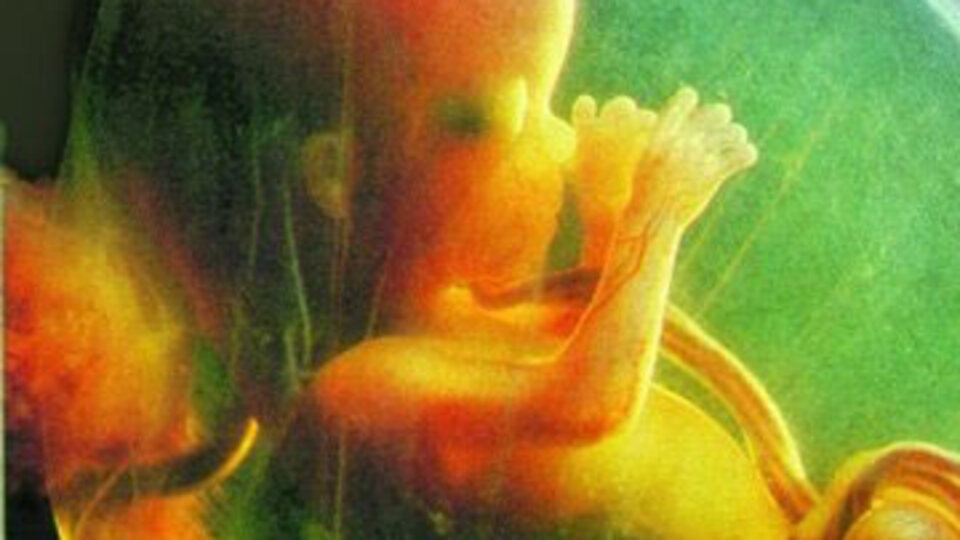 Kordon Kanı Bankası bağışçı bekliyor