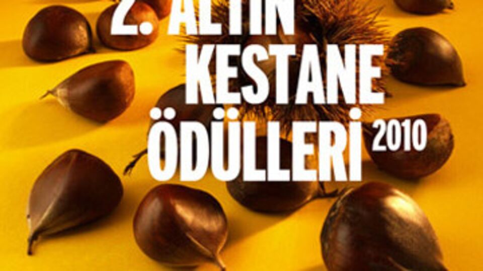 İşte 2010'un 'en fena' filmi