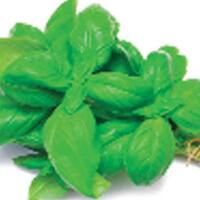 Hafızanız onunla güçlensin!