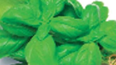 Hafızanız onunla güçlensin!