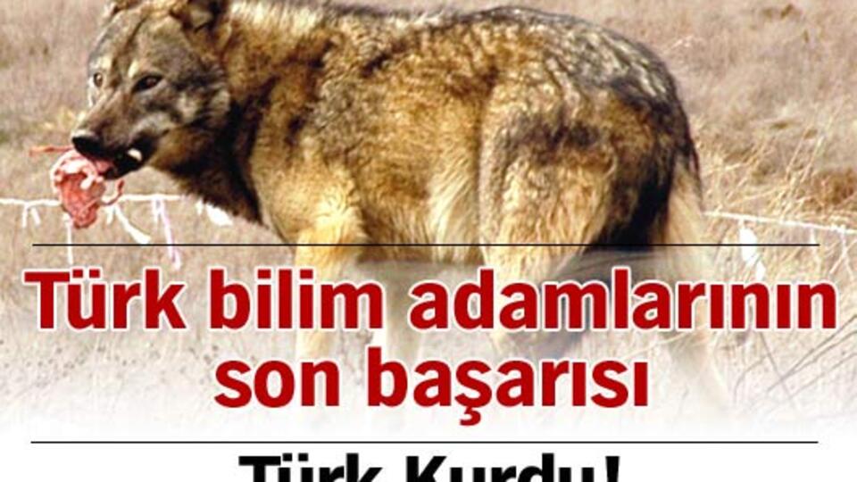 Türk bilim adamlarının son başarısı