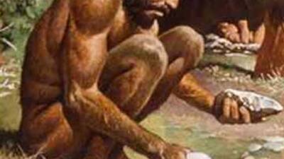 İnsanoğlu penisindeki kemiği nasıl kaybetti?