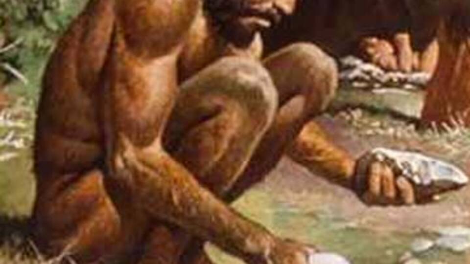 İnsanoğlu penisindeki kemiği nasıl kaybetti?